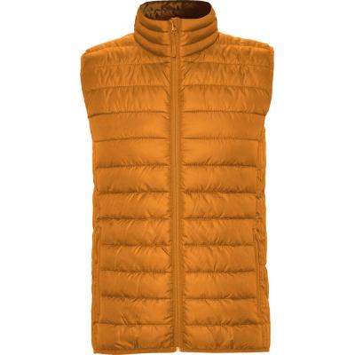 Image of Men's Insulated Bodywarmer